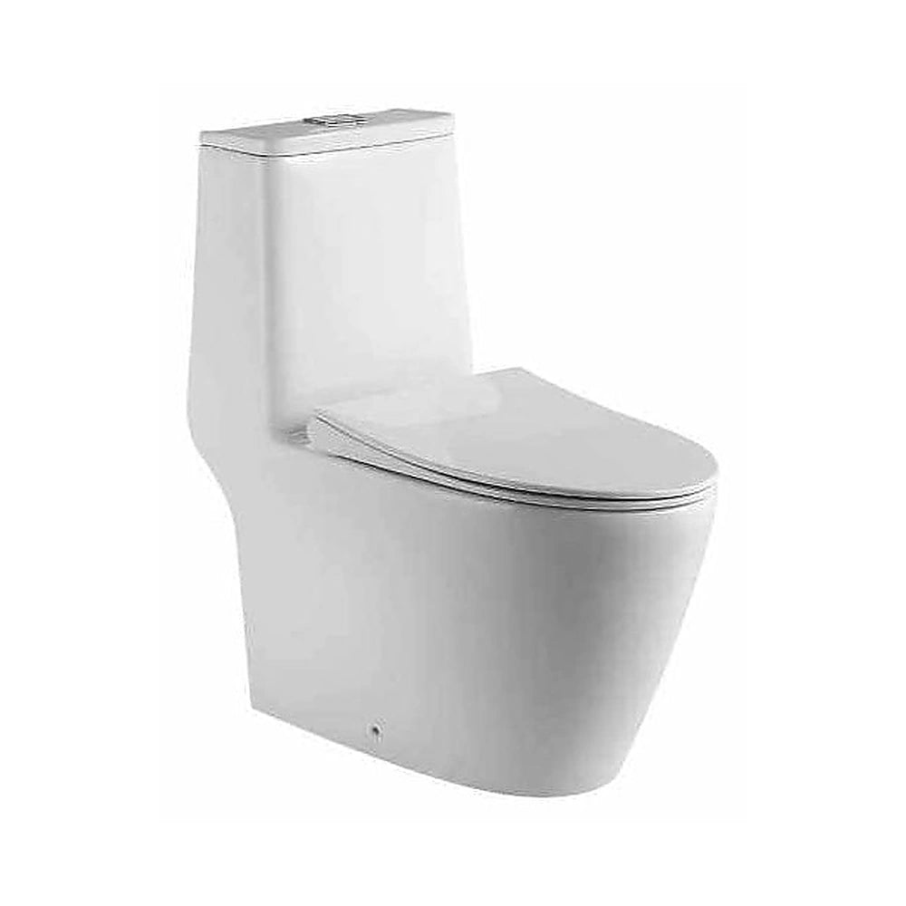 Toilet Bowl